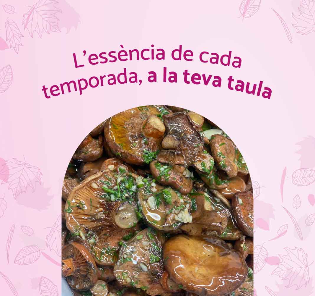 aliments-temporada-teca-sabat-CAT-mbl