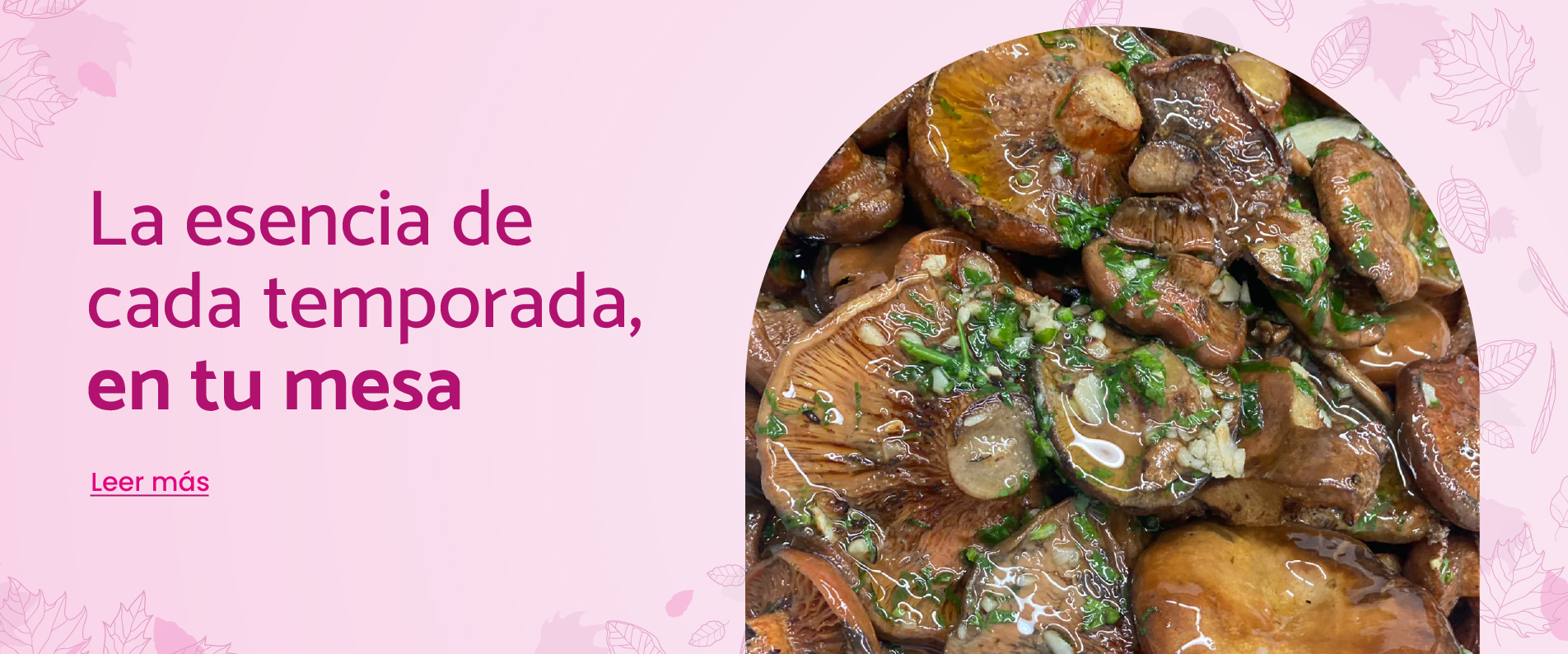 aliments temporada teca sabat ok CAST