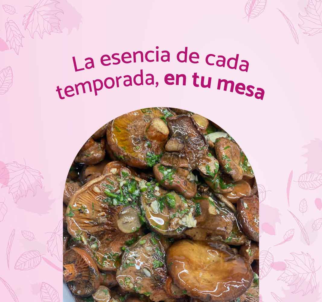 aliments-temporada-teca-sabat-CAST-mbl